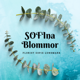 SOFIna Blommor